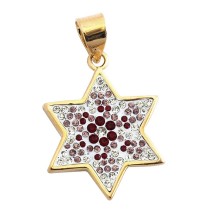 Ruby and Zircon Star of David Pendant